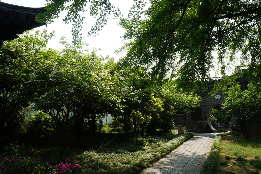 չ�����ڵ��������ھ� ��������Ӱ