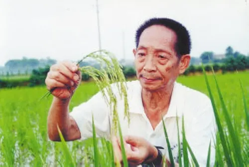 袁隆平先生