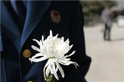 一束鲜花寄情思