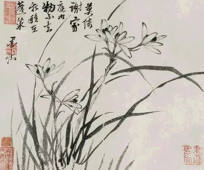 �����ƽ11