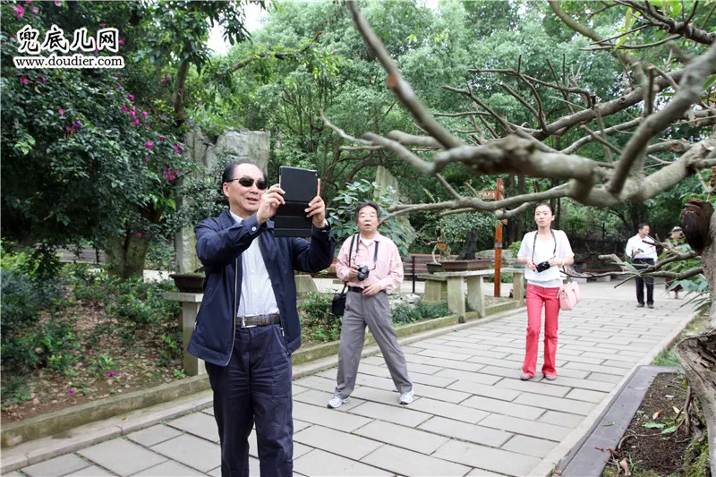 刘坚先生被美丽风景吸引 ↑