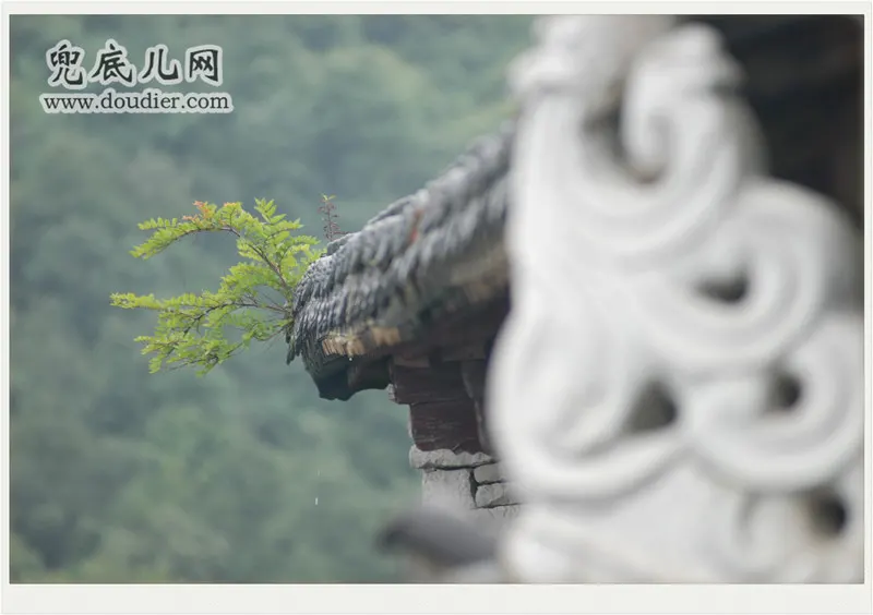 雨登天台山:静享深山的空灵与宁静