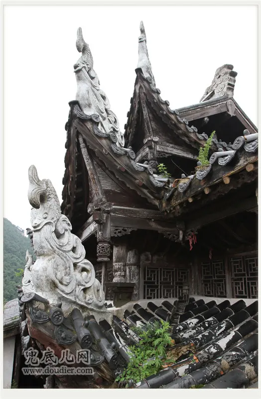 雨登天台山:静享深山的空灵与宁静