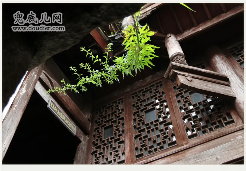 雨登天台山:静享深山的空灵与宁静