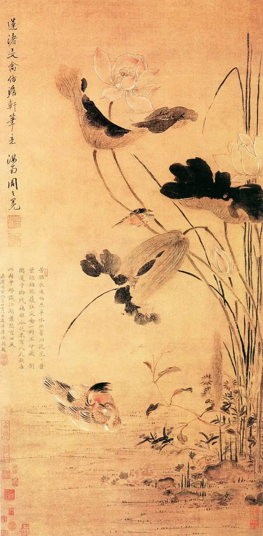 明 周之冕 莲渚文禽图