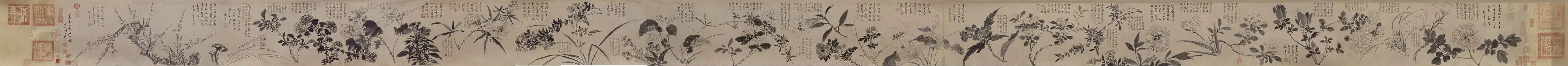 明 周之冕 百花图卷