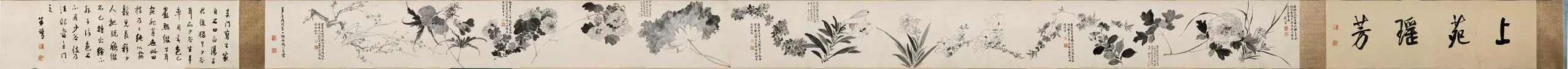 明 周之冕 仿陈道復花卉图