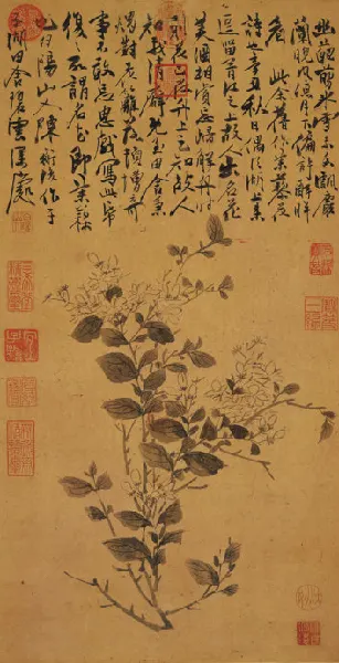 ����  ���� 1541����   ̨���ʹ�����Ժ��
