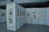 DSC06017_
