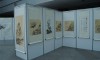 DSC06018_
