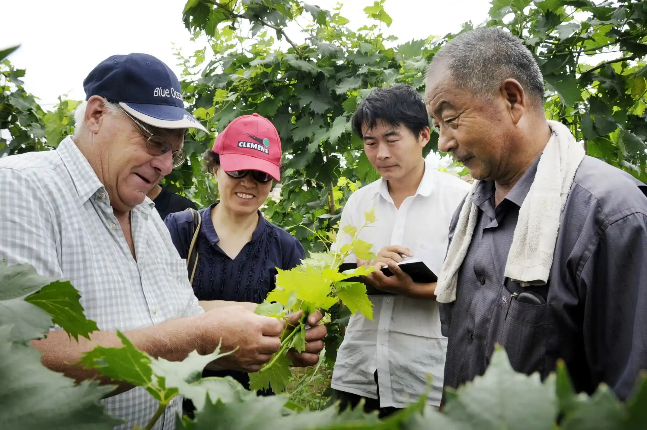 德国专家诺博先生在汉诺庄园指导工作