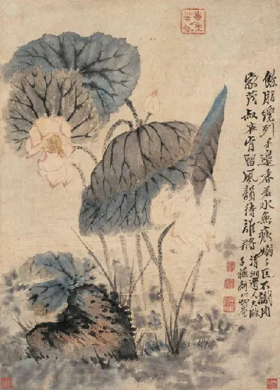 荷 花 立轴 设色纸本