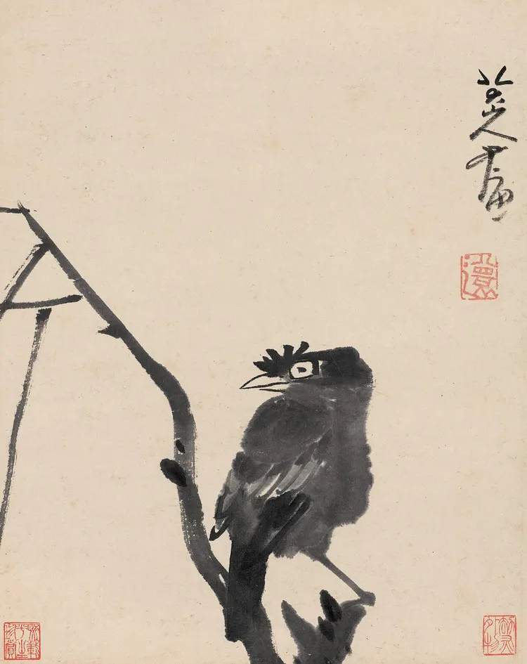 八大山人 枝上鸜鹆图 立轴 32