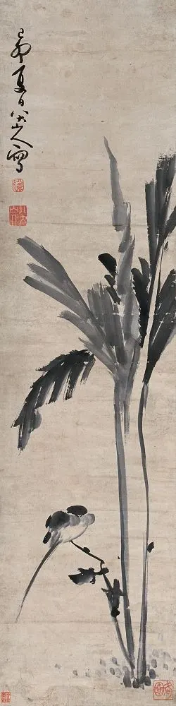 芭蕉幽禽 立轴122×31cm