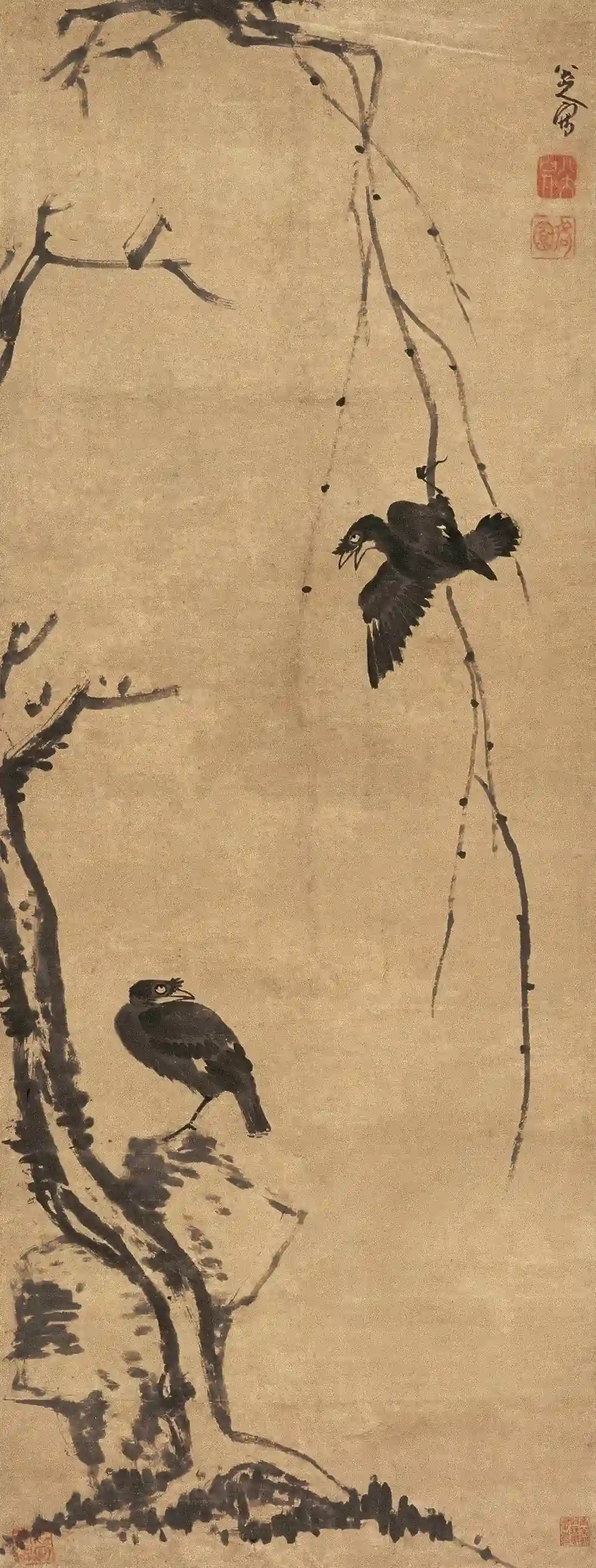 清 八大山人 柳条八哥图