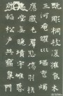 weibei_zhnmz_09