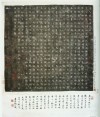 dongmeiren