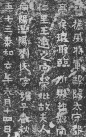 jingren_kl_wjzzqlmzmz_0005