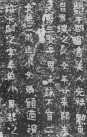 jingren_kl_wjzzqlmzmz_0006