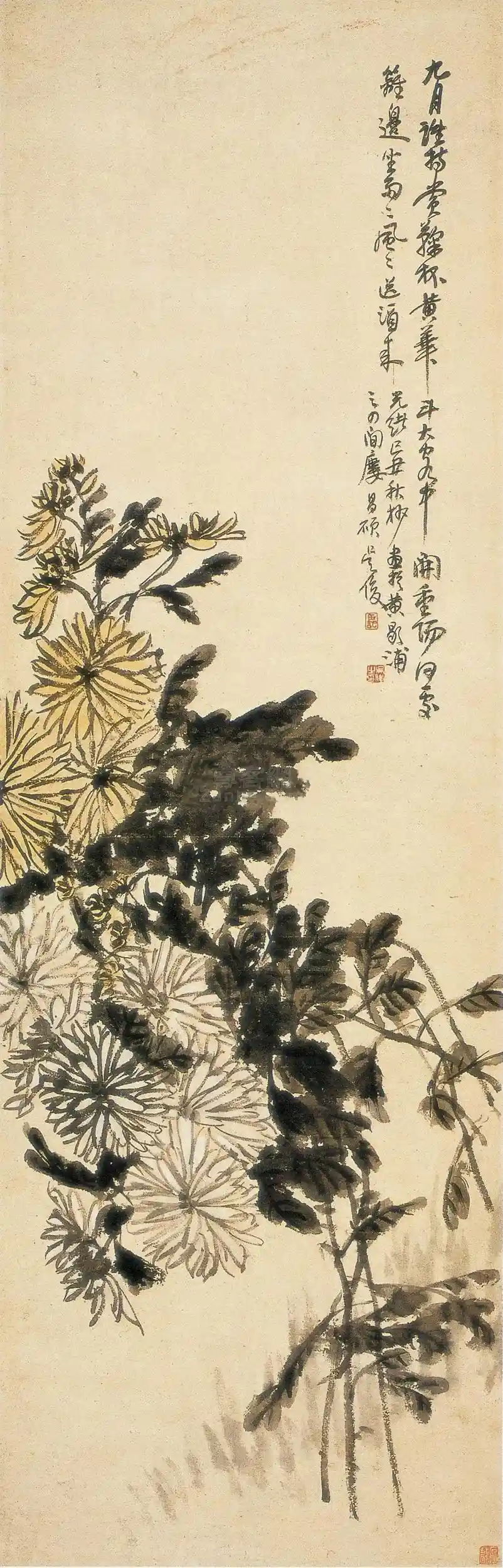 52