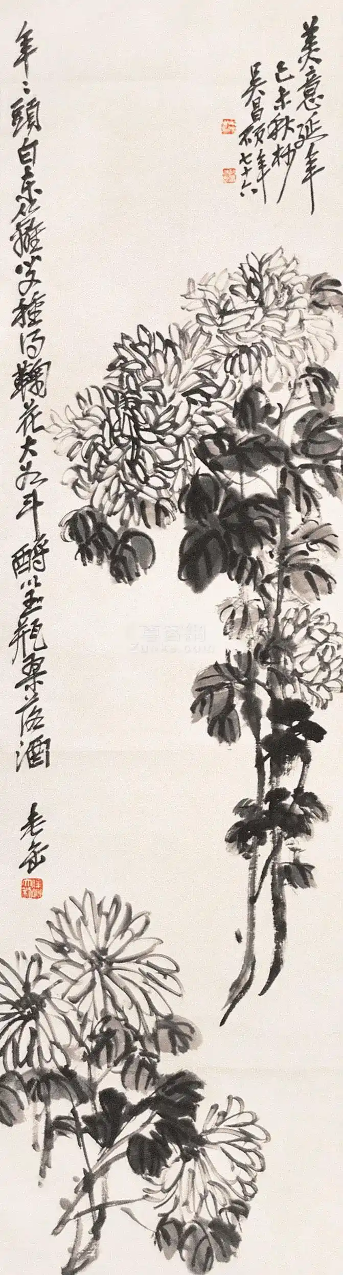 53