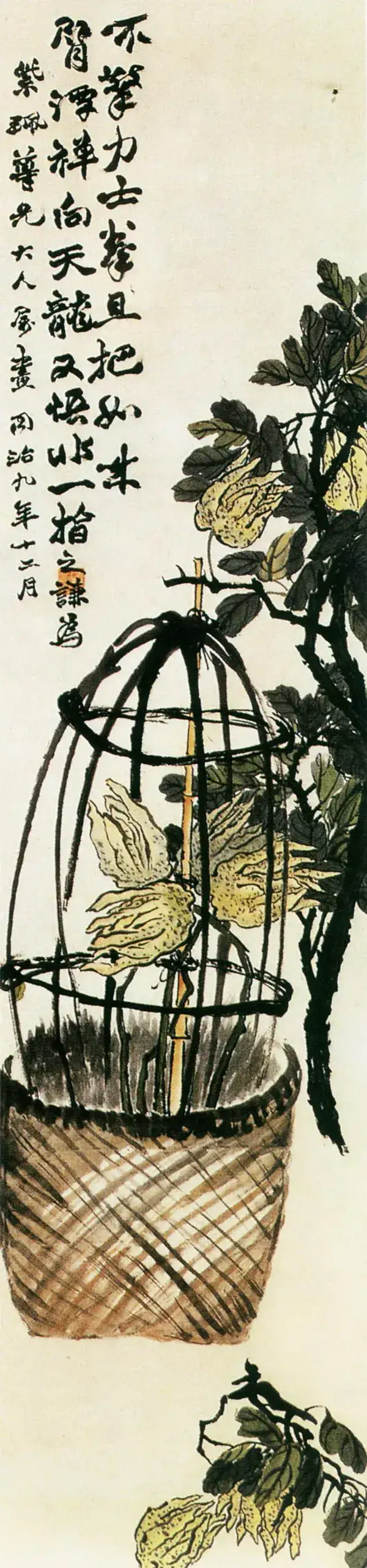 55