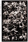 31587713_34