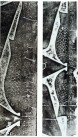 Ĺ1