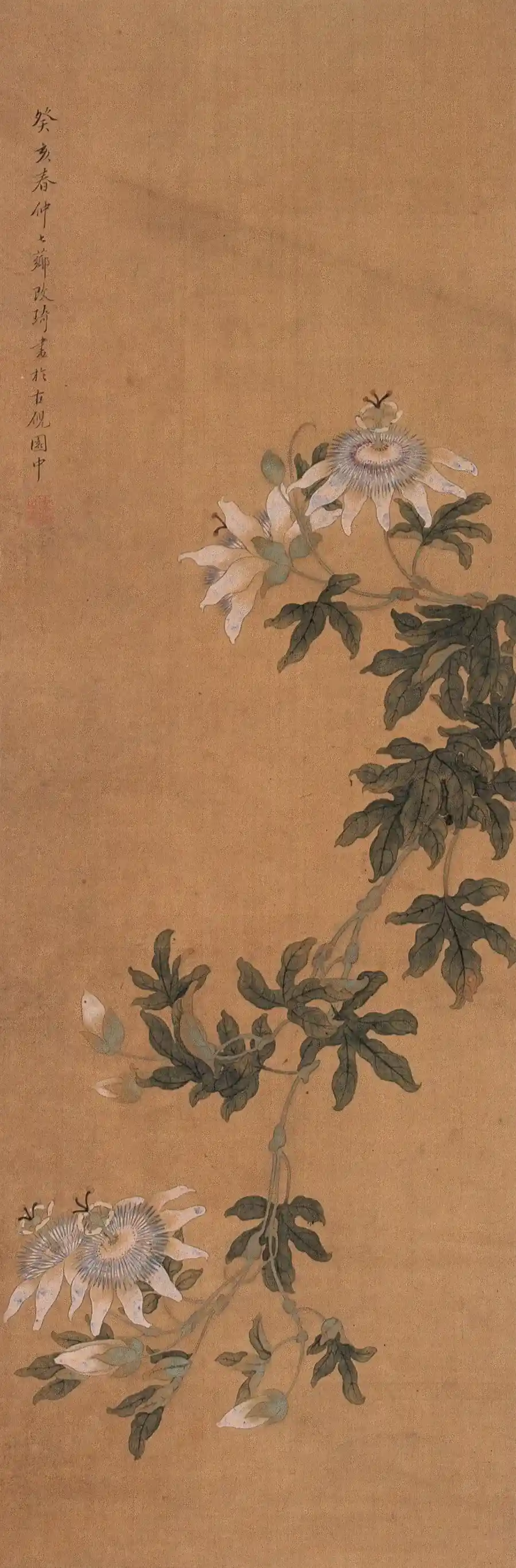 ���� 1803���� ���� ����