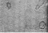 20150911_122912_006