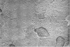 20150911_122912_005