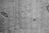 20150911_122912_010
