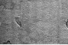 20150911_122912_011