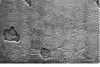 20150911_122912_012