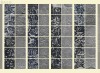 20150911_122912_019