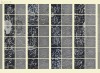 20150911_122912_021