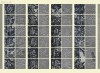 20150911_122912_023