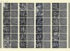 20150911_122912_026