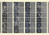 20150911_122912_025