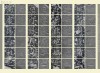 20150911_122912_027