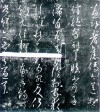 ֮沿