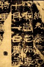 29501824_2