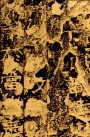 29501824_9