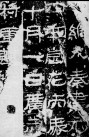 29501824_17