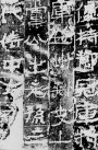 29501824_18