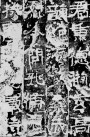 29501824_20