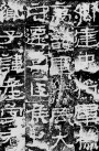 29501824_19