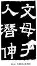 62976b1fxbaa2ddc9179a&690