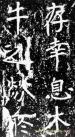 974066_201112191303560660