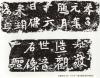 beiwei031